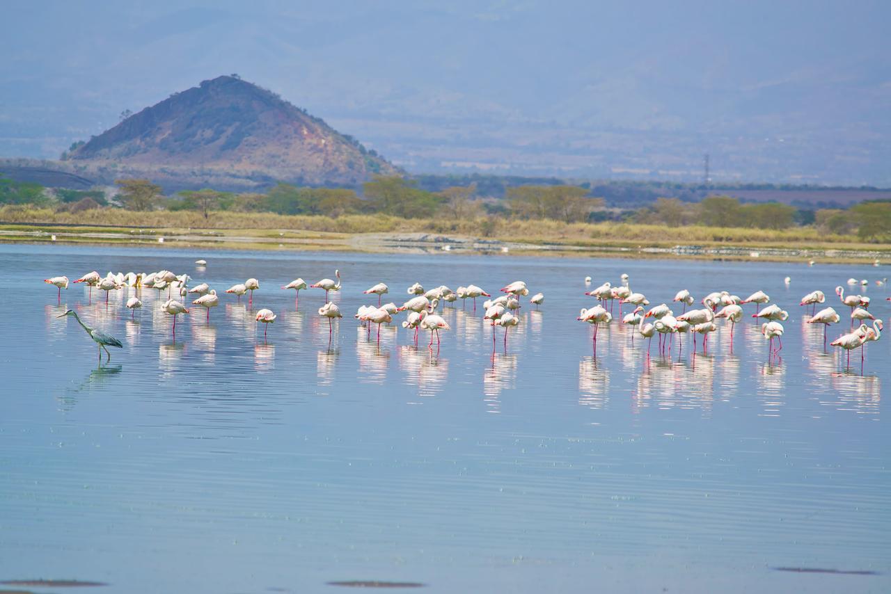 Sirville Lake Elementaita Lodge Gilgil Exteriér fotografie